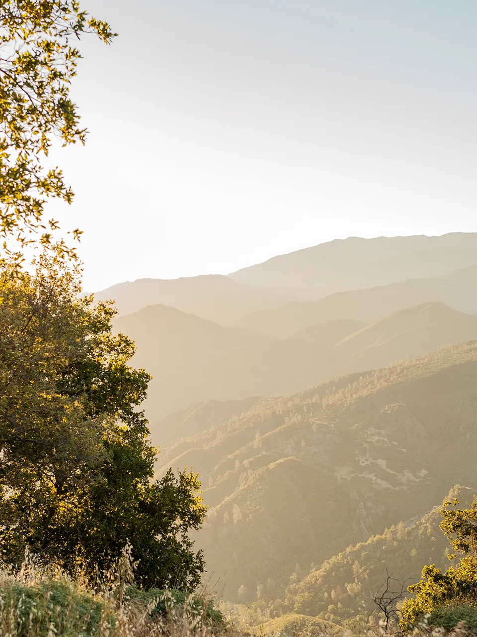 Santa Barbara Hills at dusk